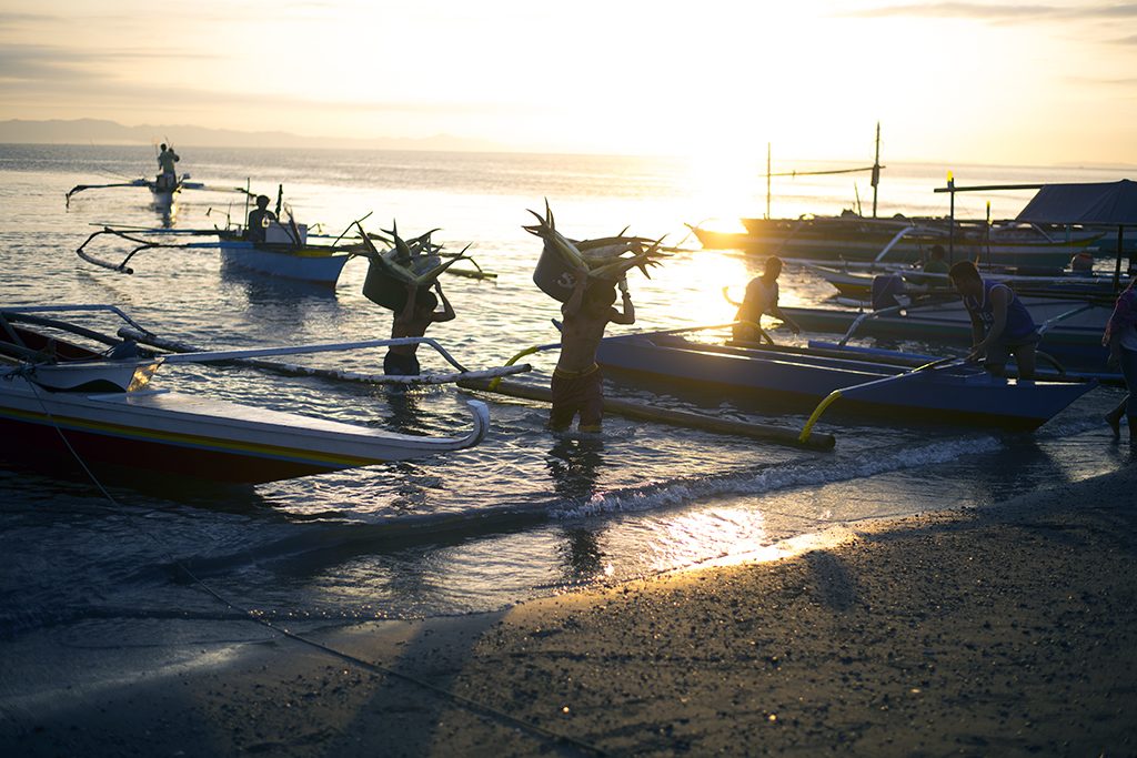 Fishermen and outrigger boats at golden hour off Atimonan