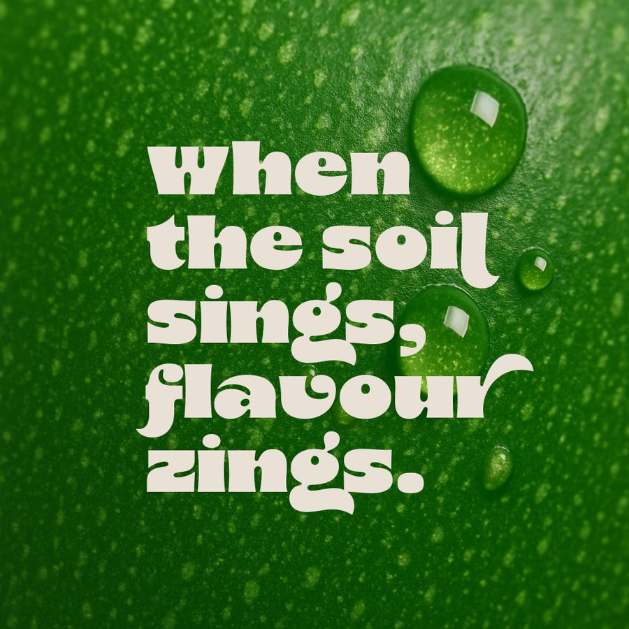 A Flavour Harvest poster reading when the soil sings, flavour zings