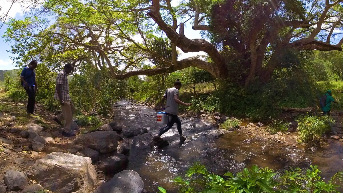 The team crosses a stream on foot, carrying the vaccine cooler